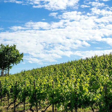 דירות דטלבאך Weingut Knauer מראה חיצוני תמונה
