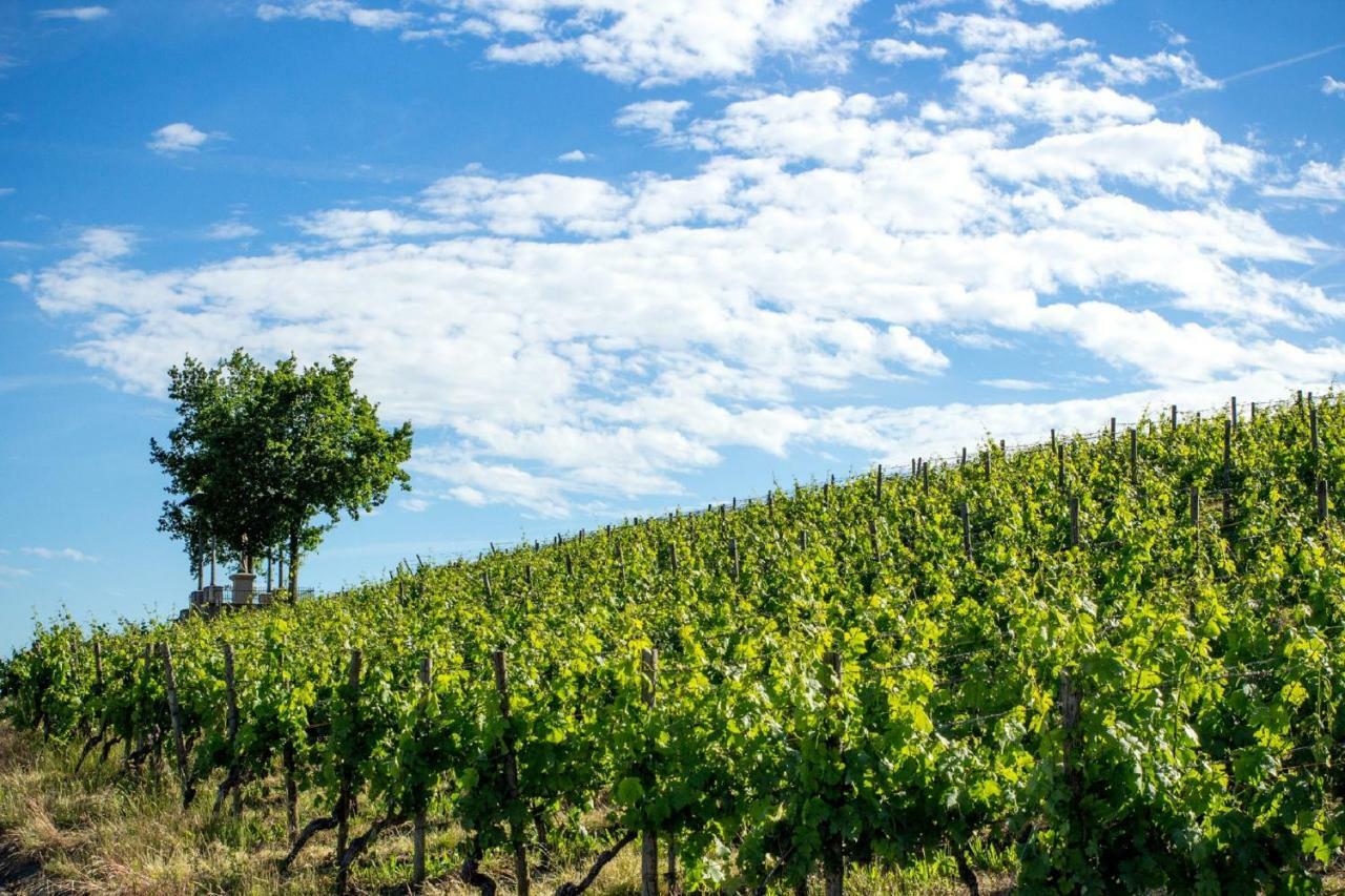 דירות דטלבאך Weingut Knauer מראה חיצוני תמונה